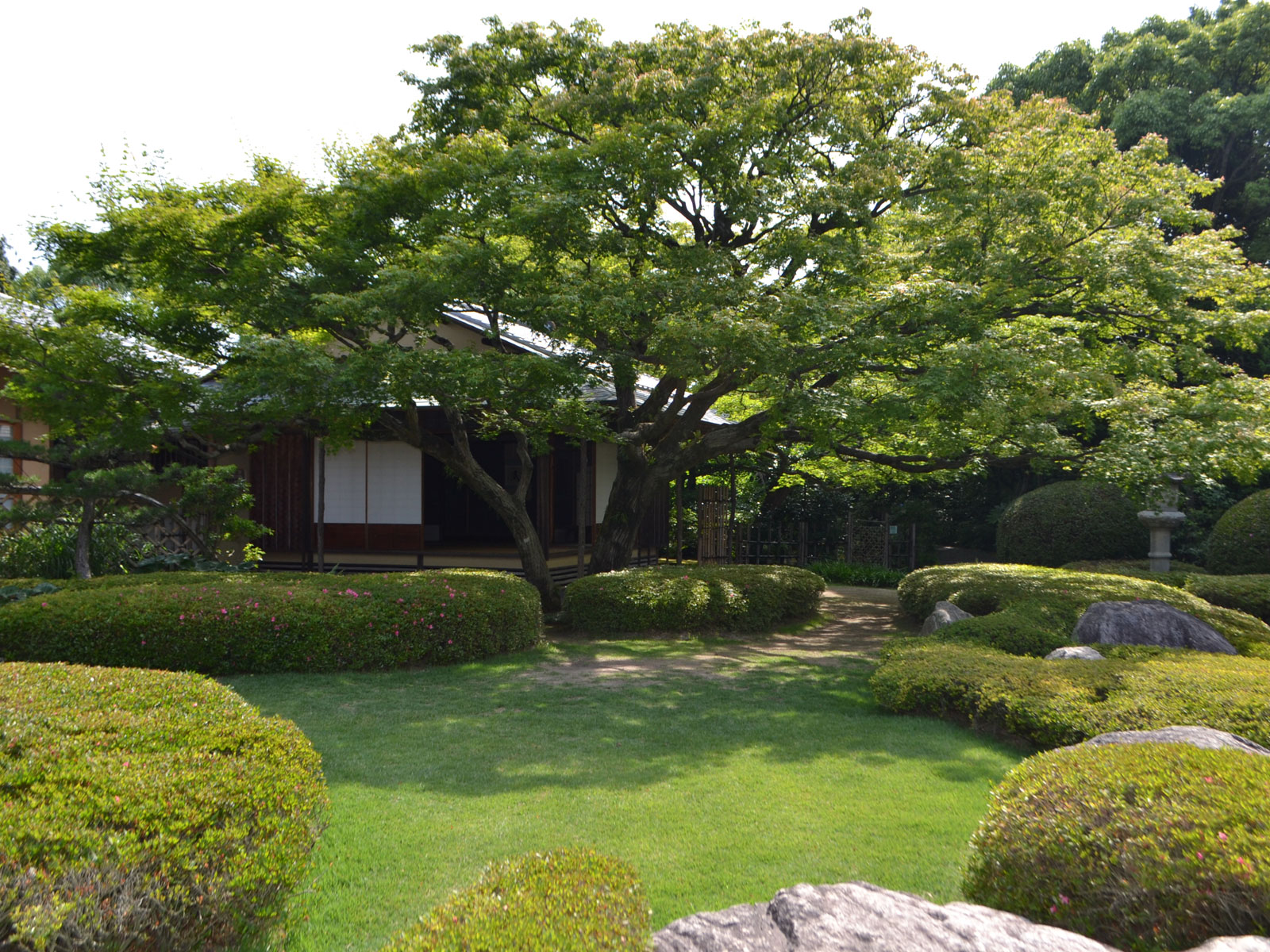 松風園の夏の風景