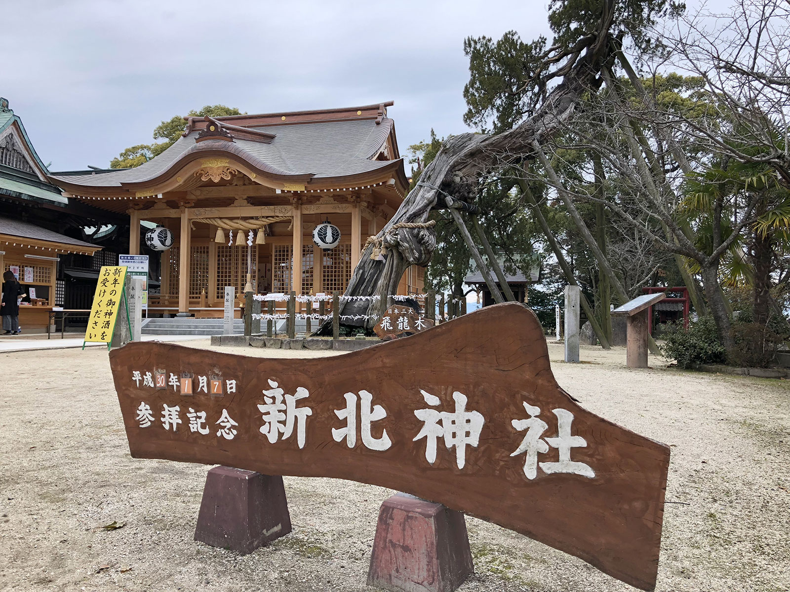 新北神社と御神木「飛竜木」